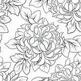 Chrysanthemum Coloring Japanese Pages Henkes Kevin Flower Drawing Getcolorings Outline Styles Getdrawings sketch template