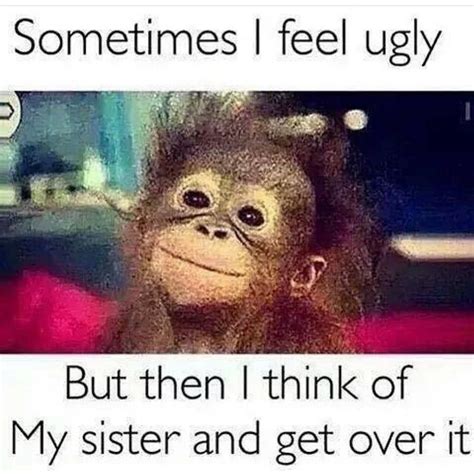 27 Of The Best Sister Memes Of All Time – Artofit