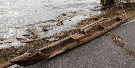 irma exposes dugout canoe history buff saves   history blog