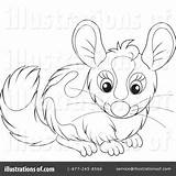 Chinchilla Coloring Clipart Illustration Pages Bannykh Alex Royalty Getcolorings Rf Color Print sketch template