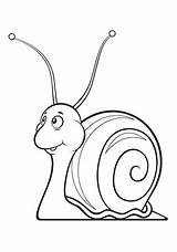Coloring Snail Colorear Para Caracol Plague Clipart Pages Página Getcolorings Snails Visit Getdrawings Clipground Mandala sketch template