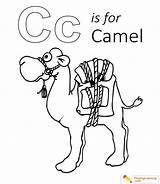 Camel Coloring Humphrey sketch template