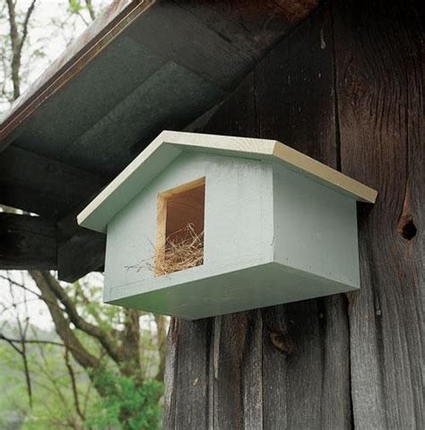 mourning dove birdhouse bird house plans bird houses dove house