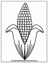 Corn Coloring Pages Ear Cob Printable Clipart Drawing Template Stalk Indian Plant Kids Diagram Color Candy Cartoon Print Book Clip sketch template