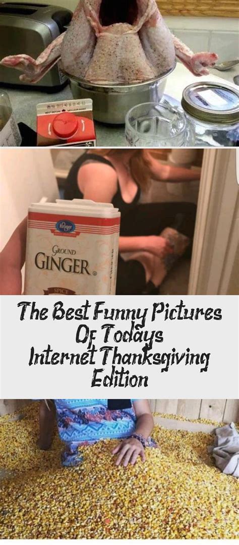 the best funny pictures of today s internet thanksgiving