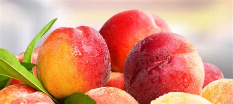 psychology  eating  consumer health peach lab