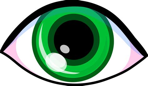 green cartoon eye clipart