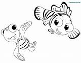 Squirt Nemo Crush Colorare Disegni Dory Bambini sketch template
