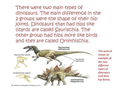 dinosaur facts power point