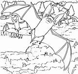 Bat Halloween Nietoperz Kolorowanki Ozark Eared Murcielago Dzieci Netopir Rajzok Pobarvanke Bats Pobrania Colorir Coloriages صوره تلوين Bestcoloringpagesforkids Orelhudo Morcego sketch template