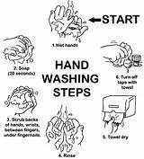 Washing Coloring Hand Pages Hands Steps Step Printable Wash Kids Food Clean Poster Safety Hygiene Contamination Cause Proper Germs Habits sketch template