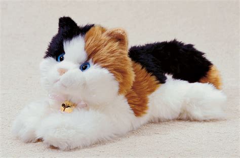 cat plush stuffed stuffed animals photo  fanpop