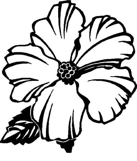 hawaiian flower coloring page  kindergarten educative printable