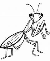 Coloring Mantis Insect Topcoloringpages Colouring sketch template