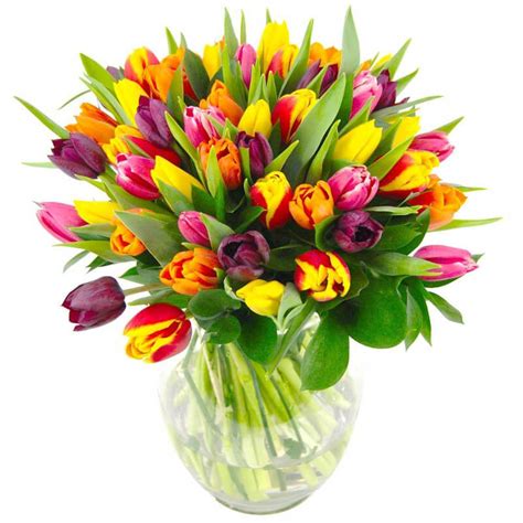 Mixed Tulips Fresh Flower Bouquet Colourful Tulips Delivered Direct