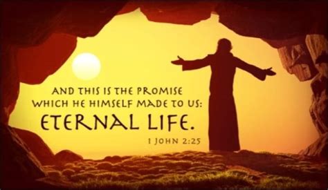 Quotes On Choosing Eternal Life 26 Inspirational Quotes About