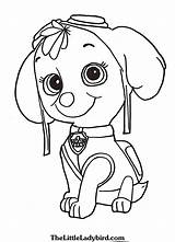 Skye Mighty Pups sketch template