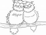 Coloring Pages Owl Visit sketch template