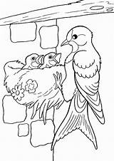 Colorat Planse Pasari Tulamama Vogel Scritub Kifest Malvorlage Colorear Fisa Printemps Pe Aves Gradinita Desene Nava Spatiala Parrot Păsări Picasaweb sketch template