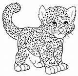 Cheetah Coloring Pages Baby Printable Creative Use People Cool2bkids Via Tag sketch template