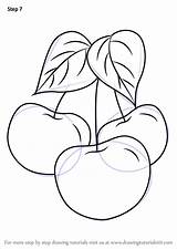 Drawing Draw Plums Plum Fruits Learn Step Tutorials Paintingvalley sketch template