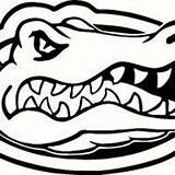 Logo Florida Gators Gator Svg Stencil Cricut Football Silhouette Coloring Dxf Crocodile College Stencils Uf Choose Board sketch template