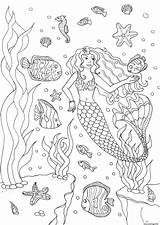 Sirene Imprimer Adulte Poissons Erwachsene Mermaids Meerjungfrauen Adulti Coloriages Sirenas Malbuch Adultos Sirène Fishes Justcolor Difficile Wasserwelten Sirenes Adultes Complexe sketch template