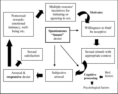 sexual response cycle in women taken with modifications from basson et