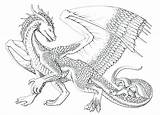 Dragon Coloring Pages Adults Cool Kids sketch template
