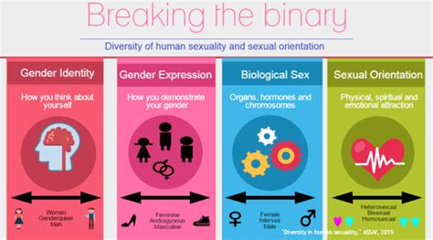 An Explanation Of The Diversity Of Human Sexuality And Sexual Orientation