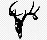 Deer Head Stencil Silhouette Clipart Skull Library sketch template