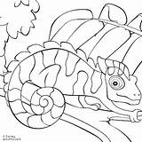 Coloring Pages Chameleon Camouflage Python Ball Reptiles Print Kids Sheets Mixed Chameleons Reptile Getcolorings Clip Lionni Leo Animal Color Clipart sketch template