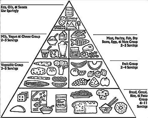 popular  white food pyramid