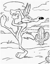 Looney Tunes Coloring Pages Coyote Bunny Roadrunner sketch template