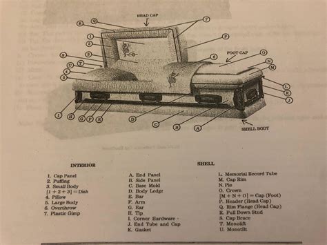 casket parts nomenclature diagram quizlet