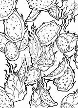 Fruit Dragon Coloring Pages Etsy Colouring Adult sketch template