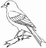 Canario Kiwi Canary Coloringonly Animales Dibujosonline Categorias Pájaro sketch template