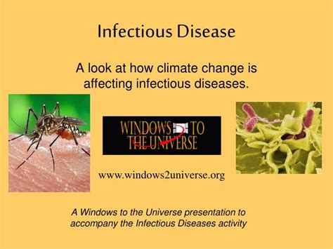 Ppt Infectious Disease Powerpoint Presentation Free Download Id
