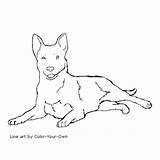 Cattle Laying Heeler sketch template