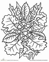 Automne Maternelle Mandalas Leaf Ouderen Gratuitement Namee Edwina sketch template