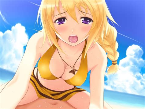 Charlotte Dunois Infinite Stratos Drawn By Nozomi Y