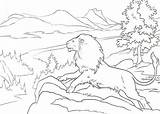 Narnia Aslan Cronicas Drawings Colorier Wardrobe Witch Roperos Chronicles León Kids sketch template