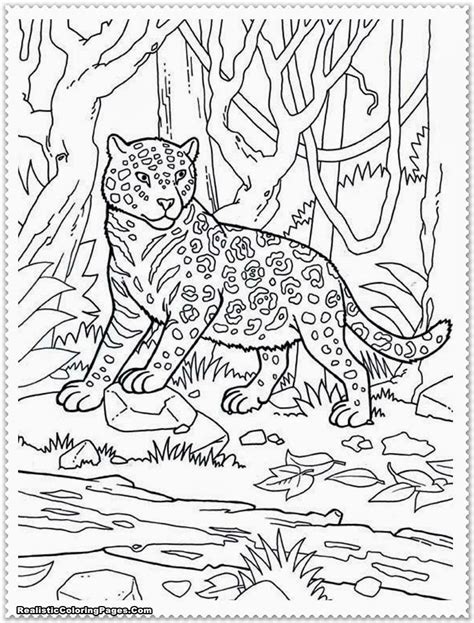 jungle scene coloring pages  getcoloringscom  printable
