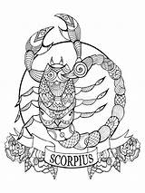 Coloring Scorpio Zodiac Sign Vector Book Illustration Stencil Lines Lace Tattoo Pattern Stock sketch template