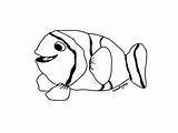 Pagliaccio Pesci Pesce Spesso Noti Nemo Acquari Ricerca sketch template