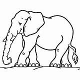 Coloring Animal Pages Color Elephant Easy Sheet sketch template