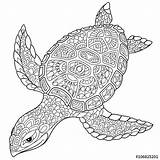 Coloring Mandala Turtle Pages Zentangle Adult Stylized Animal Drawing Printable Stock Cartoon Adults Illustration Turtles Sea Isolated Kids Sketch Doodle sketch template