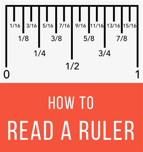 read  ruler  inches     gambaran