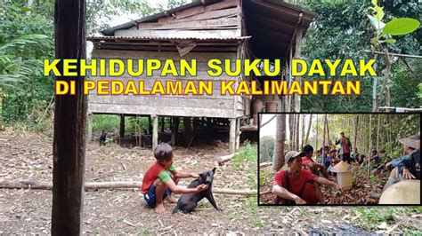 Kehidupan Suku Dayak Di Pedalaman Kalimantan Barat Youtube