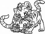 Tiger Coloring Baby Pages Tigers Cheetah Printable Tooth Color Drawing Saber Cartoon Cute Detroit Print Adult Two Draw Bengal Lsu sketch template